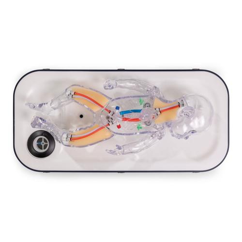 ECMO&nbsp;NeoPeds Endovascular Procedures Training Simulator, 1026890, ECMO and Extracorporeal Life Support Training