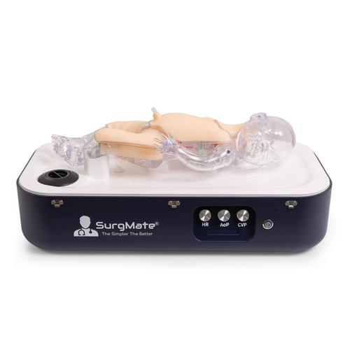 ECMO&nbsp;NeoPeds Endovascular Procedures Training Simulator, 1026890, ECMO and Extracorporeal Life Support Training