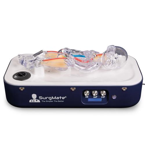 ECMO&nbsp;NeoPeds Endovascular Procedures Training Simulator, 1026890, ECMO and Extracorporeal Life Support Training