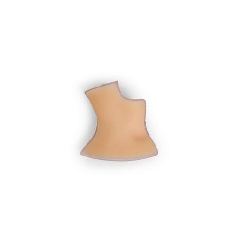 Coussin musculaire cervical droit, 1026897, Formation &agrave; l&rsquo;ECMO et &agrave; l&rsquo;assistance vitale extracorporelle
