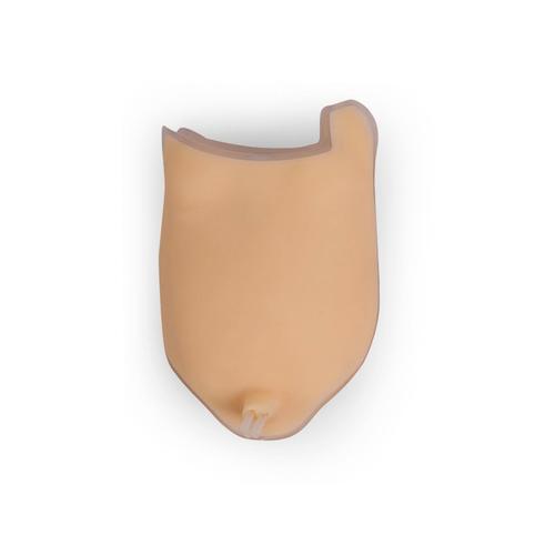 Coussin musculaire abdominal, 1026901, Formation &agrave; l&rsquo;ECMO et &agrave; l&rsquo;assistance vitale extracorporelle