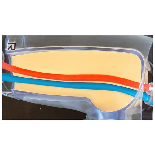 Simulador B&aacute;sico para Acesso Vascular Femoral, 1026903, Inje&ccedil;&otilde;es e Pun&ccedil;&atilde;o