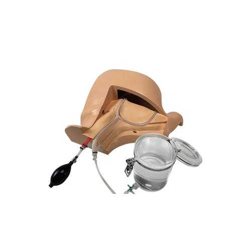 Plateforme de formation au cath&eacute;t&eacute;risme veineux central et &agrave; l'acc&egrave;s aux chambres implantables &ndash; version &agrave; pompe manuelle, 1026908, Cath&eacute;t&eacute;risme