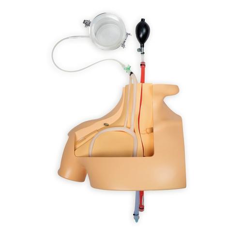 Plateforme de formation au cath&eacute;t&eacute;risme veineux central et &agrave; l'acc&egrave;s aux chambres implantables &ndash; version &agrave; pompe manuelle, 1026908, Cath&eacute;t&eacute;risme