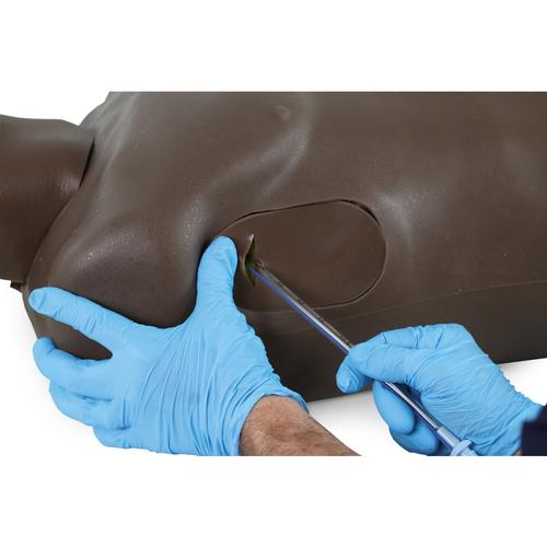 TruMan Trauma Adulto, Oscuro, 1027009, Reanimaci&oacute;n cardiopulmonar avanzada con traumatismo (ATLS)