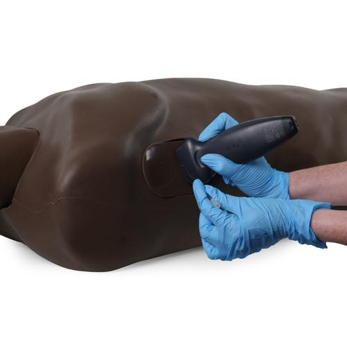 Smart TruMan Trauma Adulto, Oscuro, 1027011, Reanimaci&oacute;n cardiopulmonar avanzada con traumatismo (ATLS)