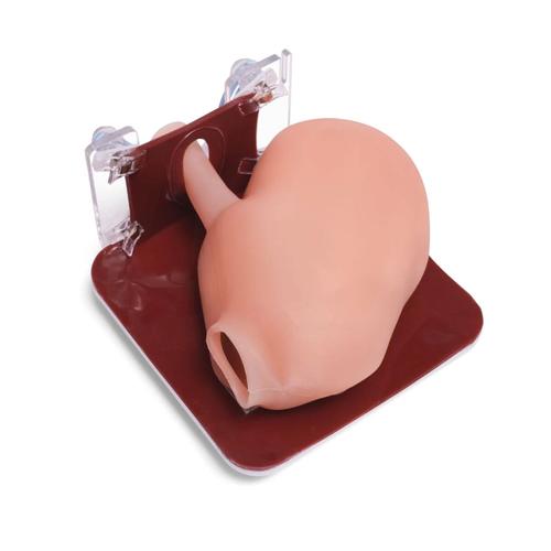 APEX PRO Specialty Training Set &ndash; General Surgery (Perpetual License), 1027068, Laparoscopy Training