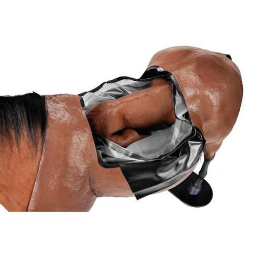 Simulateur de dystocie &eacute;quine & nasogastrique avec support, 1027183, Simulateurs &eacute;quins
