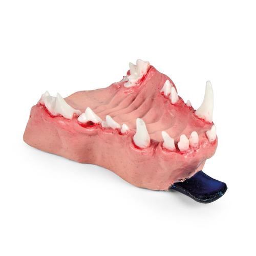 Canine Dental Pathology Jaw Model &ndash; Complex Pathology Series, 1027260, Canine Simulators
