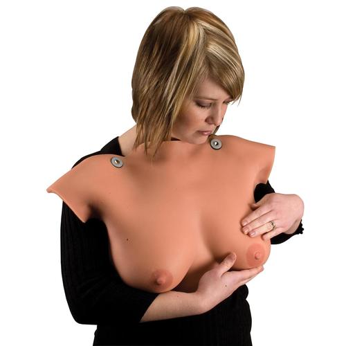 Breast Examination Set, 8000875 [3011613], Anatomy Sets