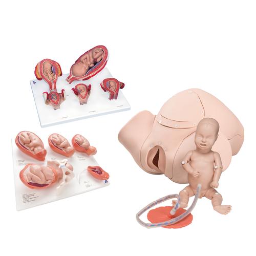 Intro to Obstetrics Lab Basic Set, 8000877 [3011904], Simulation Kits