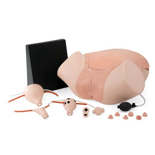 Schulungsset Einf&uuml;hrung in die Gyn&auml;kologie, 8000879 [3011906], Anatomie Sets