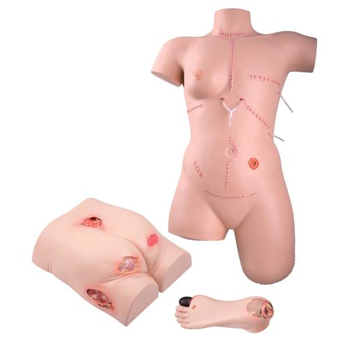 女用避孕套训练模型, 8000880 [3011907], 印痕和伤口模型