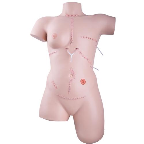 女用避孕套训练模型, 8000880 [3011907], 解剖模型组合