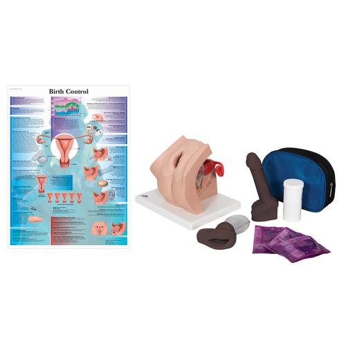 Contraceptive Set, Dark, 8000885 [3011911], Simulation Starter Kits