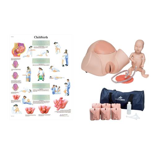Birthing Simulator & Stages Set, 8000888 [3011953], Obstetrics