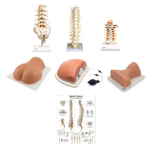 Kit d’entraînement complet d'injection rachidienne, 8001095 [3011954], Ensembles d'anatomie