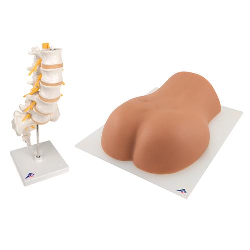 Lendenwirbelinjektions-Set, 8000890 [3011955], Simulations-Startersets