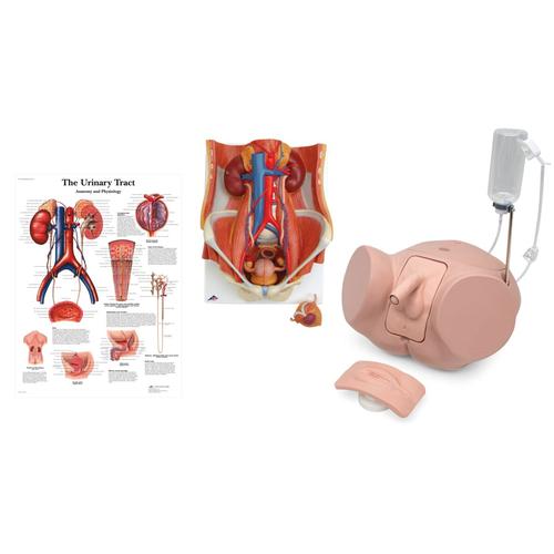 Conjunto de Cateterismo Urinario Ambos Sexos, 8000892 [3011958], Kits de simulaci&oacute;n