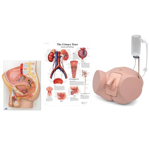 Male Catheterization Pro Set, 8000894 [3011959], Simulation Starter Kits