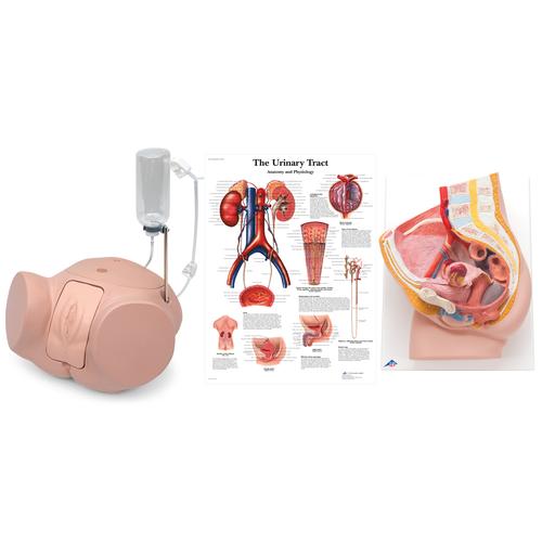 Female Catheterization Pro Set, 8000895 [3011960], Simulation Starter Kits