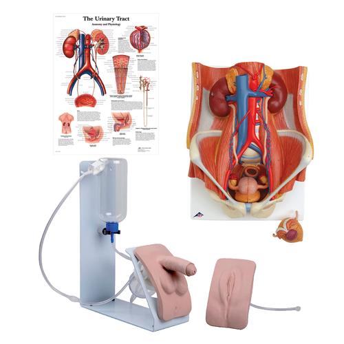 Dual Sex Catheterization Basic Set, 8000896 [3011964], Simulation Starter Kits