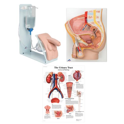 Entrenador de inyecci&oacute;n lumbar guiada por im&aacute;genes P65, 8000898 [3011965], Kits de simulaci&oacute;n
