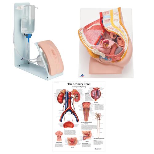 Entrenador de inyecci&oacute;n lumbar guiada por im&aacute;genes P65, 8000899 [3011966], Kits de simulaci&oacute;n