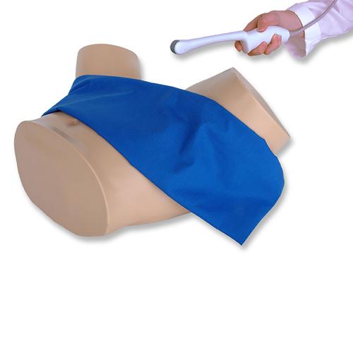 Blue Phantom Combo Intrauterine and Ectopic Pregnancy Transvaginal Ultrasound Training Model, 3012465, Ultrasound Skill Trainers