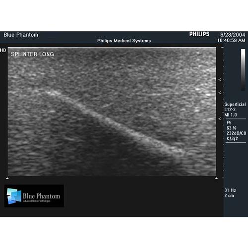 Blue Phantom Foreign Body Identification Ultrasound Training Model, 3012483, Ultrasound Skill Trainers
