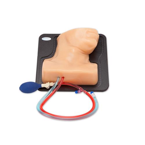 Blue Phantom Internal Jugular Central Line Ultrasound Manikin, 3012495, Ultrasound Skill Trainers