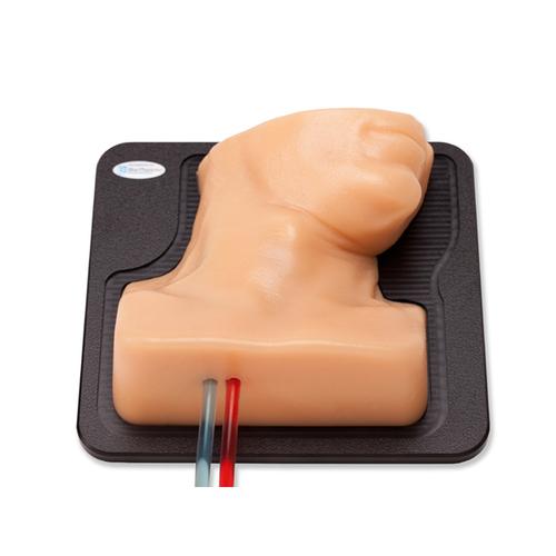 Blue Phantom Internal Jugular Central Line Ultrasound Manikin, 3012495, Ultrasound Skill Trainers