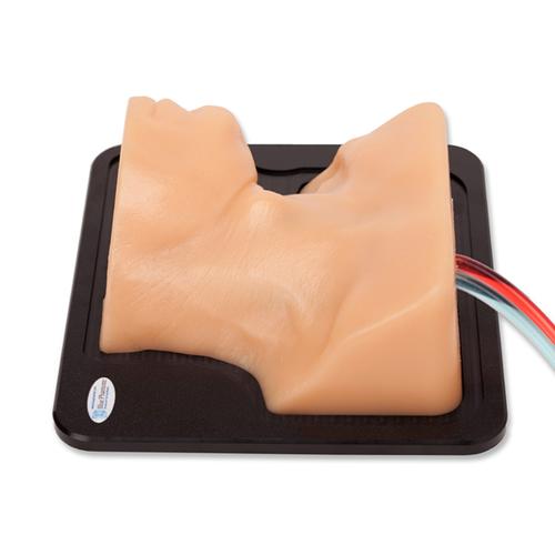 Blue Phantom Internal Jugular Central Line Ultrasound Manikin, 3012495, Ultrasound Skill Trainers