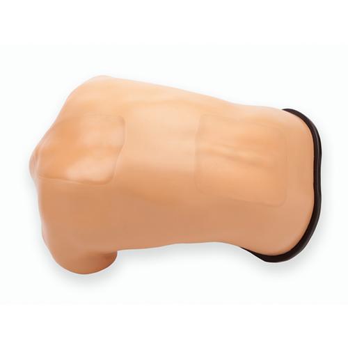 Blue Phantom Spinal Epidural and Lumbar Puncture Training Model, 3012516, Ultrasound Skill Trainers
