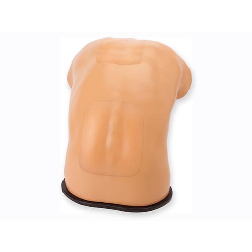 Blue Phantom Spinal Epidural and Lumbar Puncture Training Model, 3012516, Ultrasound Skill Trainers