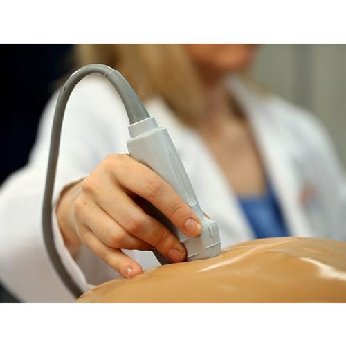Blue Phantom Spinal Epidural and Lumbar Puncture Training Model, 3012516, Ultrasound Skill Trainers