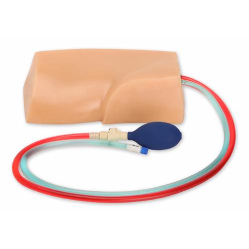 Blue Phantom Femoral Vascular Access Replacement Tissue w/ DVT for BPP-031 to BPP-036, 3012554, Ultrasound Skill Trainers