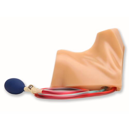 Blue Phantom Gen I Regional Anesthesia and Central Venous Access Ultrasound Replacement Tissue, 3012573, Ultrasound Skill Trainers