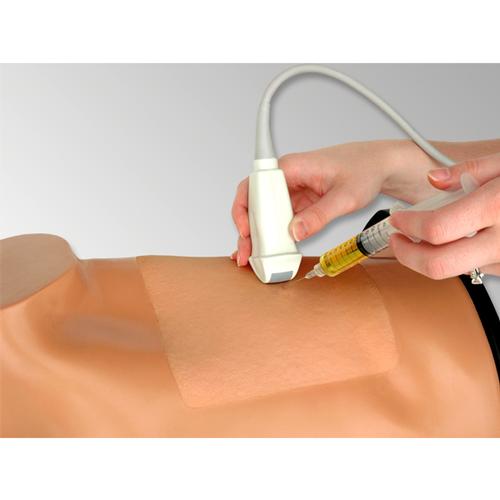 Blue Phantom Thoracentesis Ultrasound Replacement Tissue used with Model BPP-107, 3012594, Ultrasound Skill Trainers