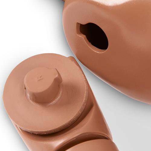 Maniqu&iacute; completo de conocimientos de enfermer&iacute;a KERi, Medio, 1023459 [3012715], Cuidado del paciente adulto