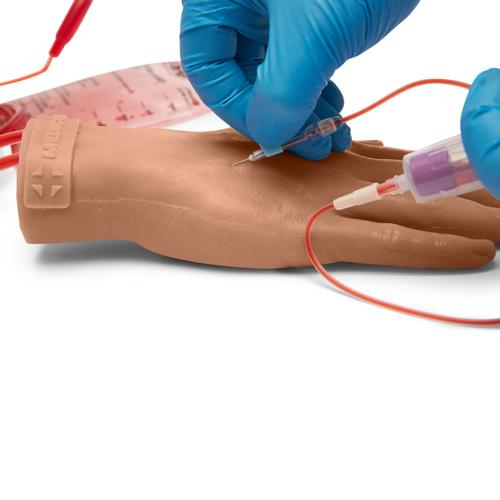 
	
		
			
				Peripheral Intravenous (IV) Catheterization Hand Simulator, Medium
		
	

, 3017002, Intravenoso (IV) y arterial