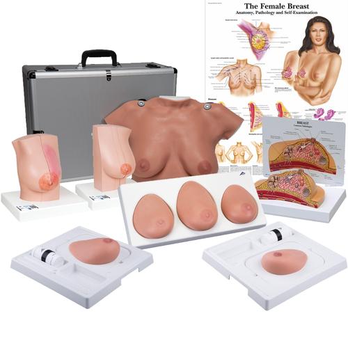 3B Breast Cancer Diagnosis Educator's Package, 3018061, Simulation Starter Kits
