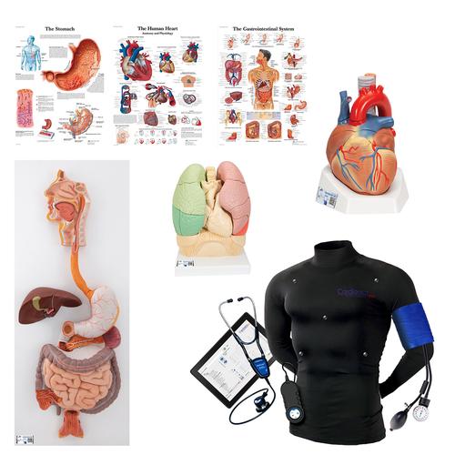 Wearable Auscultation and Standardized Patient Set "Advanced Lab" with BHS, 8000998, Simulation Kits