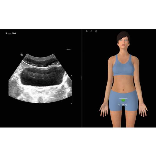 
	e Sono Ultrason Simülatörü - 3 Yıllık Lisans, 200 kullanıcı, 8001213, Ultrasound Simulation Software