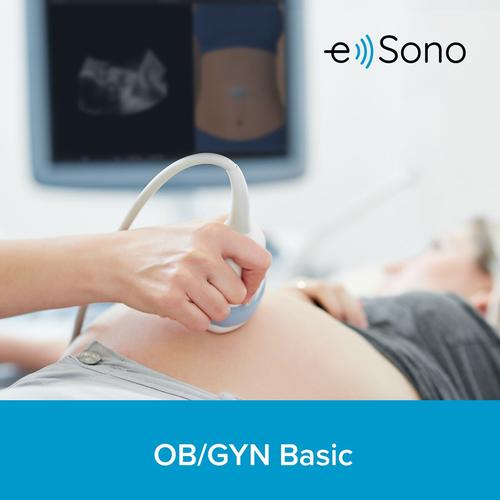 e Sono curso b&aacute;sico de ultrassonografia ginecol&oacute;gica e obst&eacute;trica &ndash; Licen&ccedil;a individual, 8001270, Licen&ccedil;as Individuais Dos Cursos e Sono