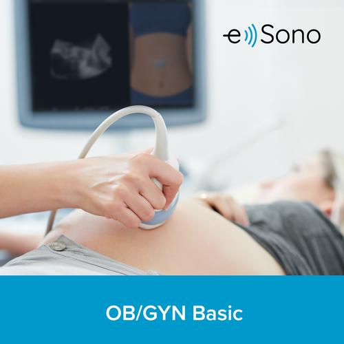 e Sono Gynecological & Obstetric (OB/GYN) basic ultrasound course &ndash; Multiuser License, 8001278, Online Ultrasound POCUS Courses