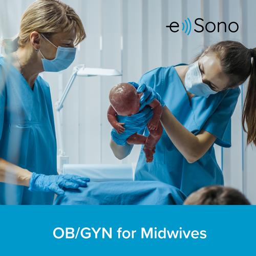 e Sono OB/GYN in Midwifery Course &ndash; Single User License, 8001396, e Sono Courses Individual Licenses