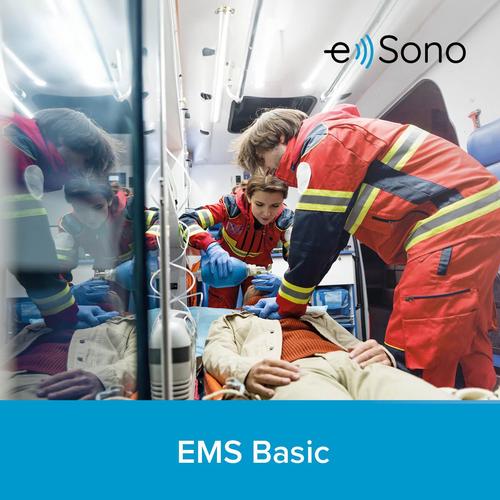 e Sono EMS Curso B&aacute;sico - Usuario &Uacute;nico, 8001418, Licencias Individuales De Los Cursos e Sono