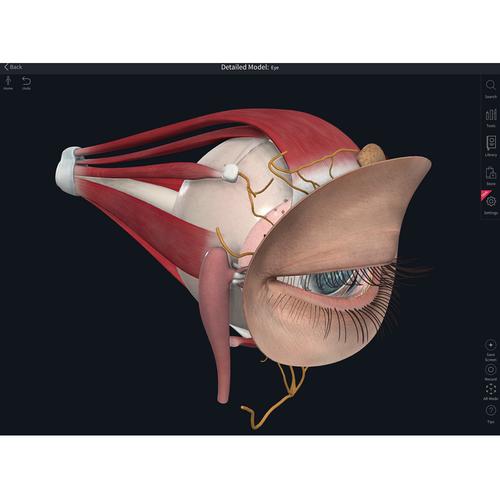 Licence Complete Anatomy - Professional, 10262 [CA-PRO], Complete Anatomy