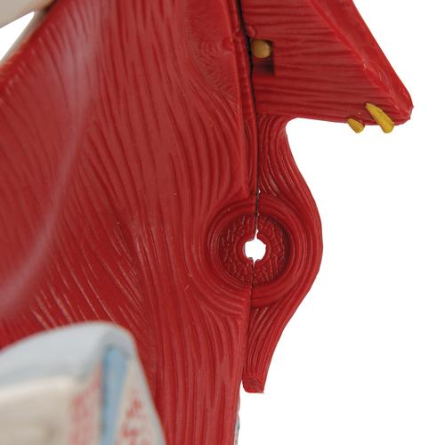 M&auml;nnliches Beckenmodell mit B&auml;ndern, Gef&auml;&szlig;en, Nerven, Beckenboden & Organen, 7-teilig, 1013282 [H21/3], Genital- und Beckenmodelle